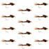 Bead Head Pheasant Tail Nymph 1 Dozen Fly Fishing Flies  Size 12