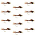Bead Head Pheasant Tail Nymph 1 Dozen Fly Fishing Flies  Size 16