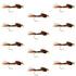 Bead Head Pheasant Tail Nymph 1 Dozen Fly Fishing Flies  Size 14