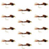 Tungsten Bead Head  Pheasant Tail Nymph 1 Dozen Flies  Size 18