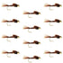 Tungsten Bead Head  Pheasant Tail Nymph 1 Dozen Flies  Size 12