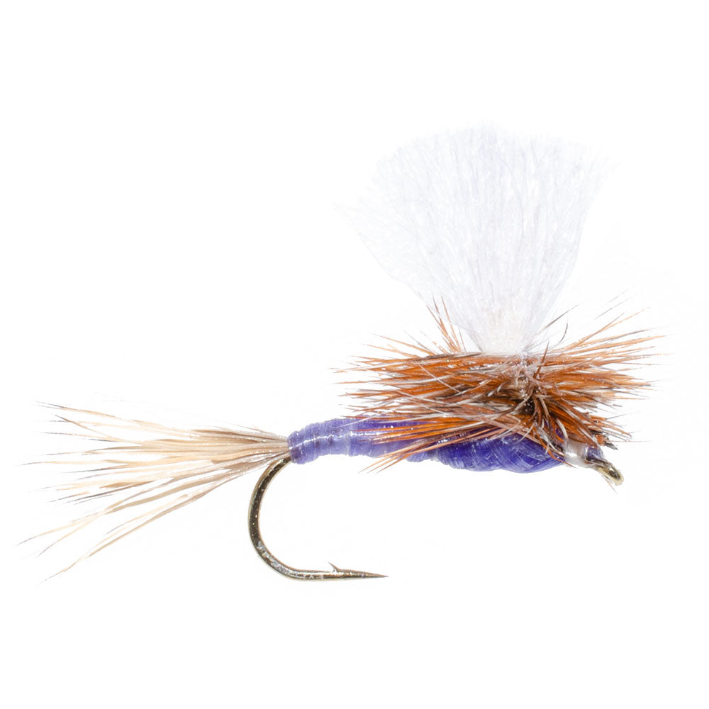 Parachute Purple Haze Dry Fly - 12 Flies Size 14
