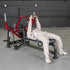 Power Leverage V2 Lying Pec Fly