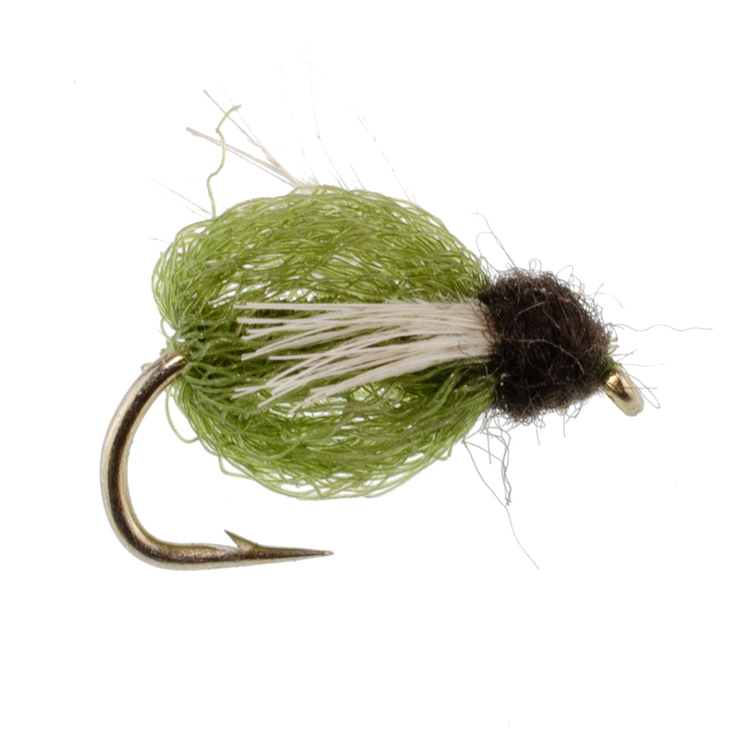 LaFontaine Olive Deep Sparkle Caddis Pupa - 6 Flies Hook Size 14
