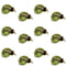 Bead Head LaFontaine Olive Deep Sparkle Caddis Pupa - 1 Dozen Flies Hook Size 18