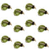 Bead Head LaFontaine Olive Deep Sparkle Caddis Pupa - 1 Dozen Flies Hook Size 16