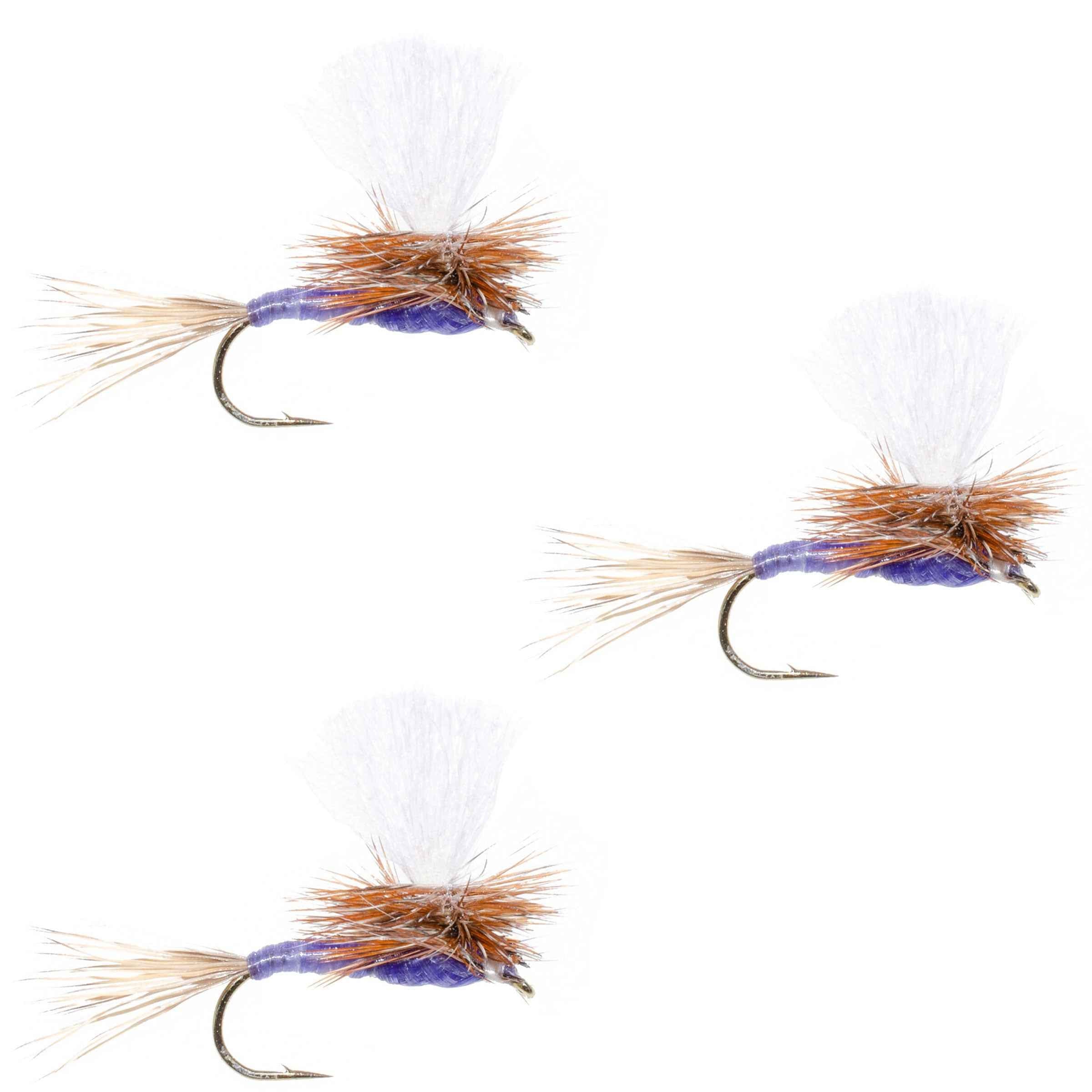 3 Pack Parachute Purple Haze Dry Fly - Size 18