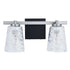 Radiance Modern 2-Light Dimmable Vanity Light