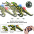 Remote Control T-Rex Dinosaur with Lights Sounds Walking RC Toy