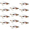 Royal Coachman Bucktail Classic Streamer Flies - Set of 12 - Hook Size 4