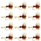 Royal Wulff Classic Trout Dry Fly Fishing Flies - Set of 12 Flies Size 14 - One Dozen