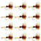 Royal Wulff Classic Trout Dry Fly Fishing Flies - Set of 12 Flies Size 10 - One Dozen