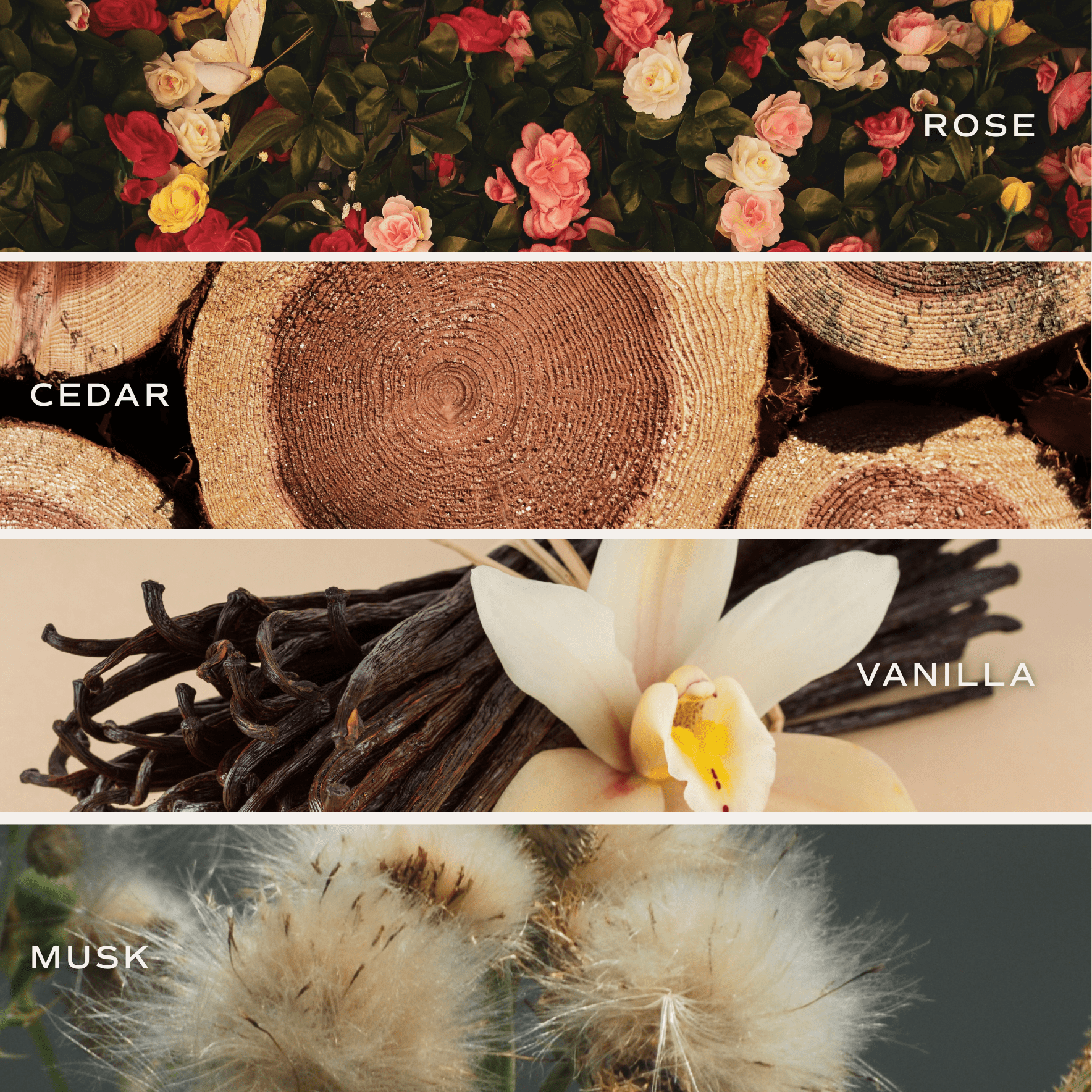 Sandalwood Rose Clear Reed Diffuser