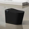 Experience Luxury and Convenience with our Matte Black Smart Toilet Bidet Elongated Seat - Unlimited Warm Water, Wand Cleaning, Remote Control