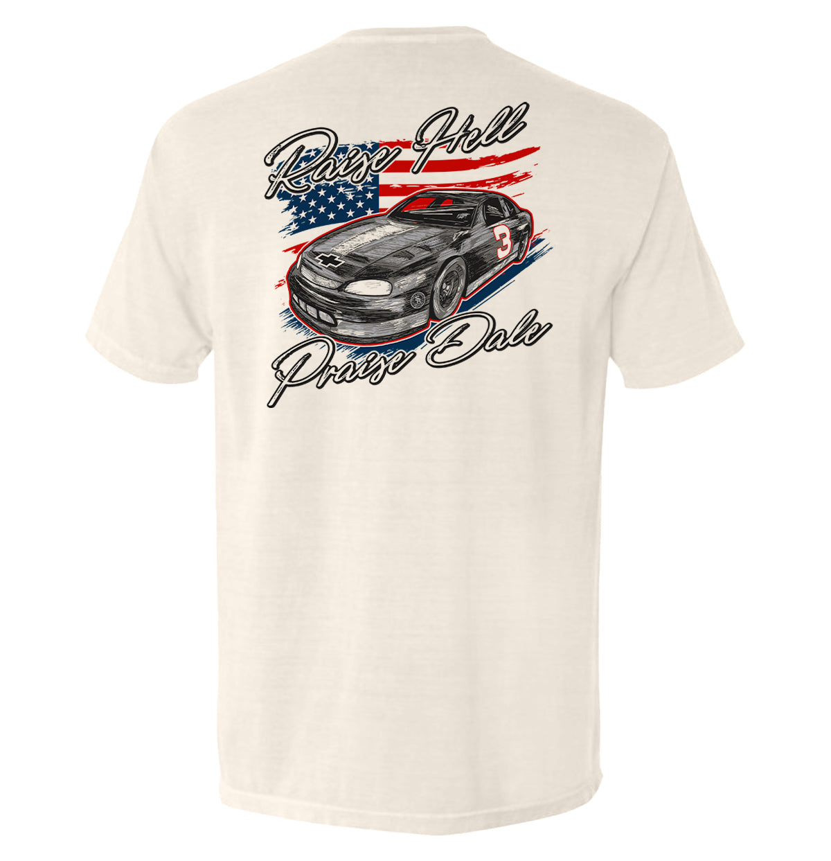 Raise Hell Praise Dale T Shirt