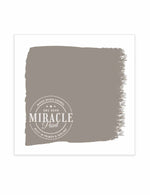 Miracle Paint (32 oz.)