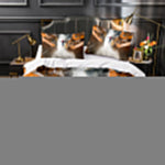 Spider-Man Homecoming Cosplay Bedding Sets Quilt Covers Without Filler