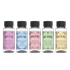 Seasonal Collection (Spring) Discovery Set