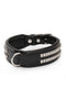 Leather Collar with Designer Studs