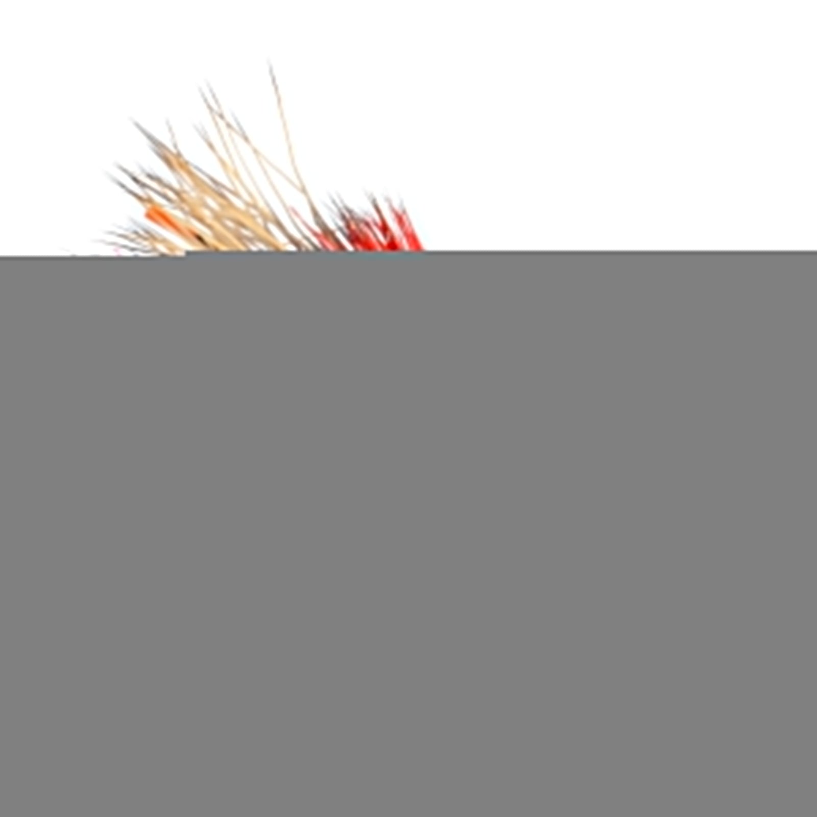 3 Pack Kaufmann's Orange Crystal Stimulator Rubber Legs Dry Fly - Hook Size 14