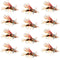 Kaufmann's Royal Crystal Stimulator Rubber Legs Dry Fly - 1 Dozen Flies Hook Size 10