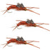 3 Pack Barbless Gold Bead Kaufmann's Brown Stone Fly with Rubber Legs - Stonefly Wet Fly - Hook Size 12