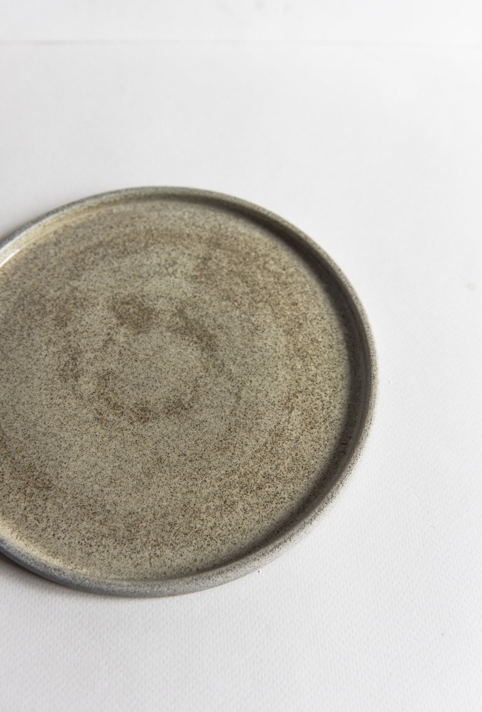 Stoneware Dinner Plates 