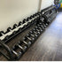 Sweet Dumbbell Set 5-100 lb (Rack sold seperately)