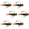 Black Tungsten Bead Prince Jig Tactical Czech Nymph Euro Nymphing Fly - 6 Flies Size 12