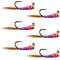 Tungsten Bead Hot Spot Purple Perdigon Tactical Jig Spanish Czech Euro Nymph Fly - 6 Flies Size 14