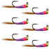 Tungsten Bead Hot Spot Purple Perdigon Tactical Jig Spanish Czech Euro Nymph Fly - 6 Flies Size 14