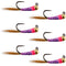Tungsten Bead Hot Spot Purple Perdigon Tactical Jig Spanish Czech Euro Nymph Fly - 6 Flies Size 16