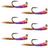 Tungsten Bead Hot Spot Purple Perdigon Tactical Jig Spanish Czech Euro Nymph Fly - 6 Flies Size 16