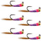 Tungsten Bead Hot Spot Purple Perdigon Tactical Jig Spanish Czech Euro Nymph Fly - 6 Flies Size 18