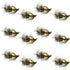Tungsten Bead Tactical Mini Bugger Czech Nymph Euro Nymphing Fly - 1 Dozen Flies Size 12