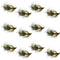 Tungsten Bead Tactical Mini Bugger Czech Nymph Euro Nymphing Fly - 1 Dozen Flies Size 8
