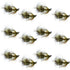 Tungsten Bead Tactical Mini Bugger Czech Nymph Euro Nymphing Fly - 1 Dozen Flies Size 8