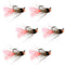 Tungsten Bead Jig Tasmanian Devil Tactical Czech Nymph Euro Nymphing Fly - 6 Flies Size 14