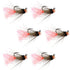 Tungsten Bead Jig Tasmanian Devil Tactical Czech Nymph Euro Nymphing Fly - 6 Flies Size 14
