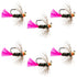 Tungsten Bead Jig Tactical Blow Torch Czech Nymph Euro Nymphing Fly - 6 Flies Size 10