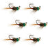Tungsten Bead Tactical CDC Frenchie Czech Nymph Euro Nymphing Fly - 6 Flies Size 12