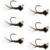 Tungsten Bead Pheasant Tail Tactical Jig Czech Nymph Euro Nymphing Fly - 6 Flies Size 16