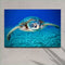 Green Sea Turtle Canvas Wall Art