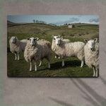 Flock Of Sheep Canvas Wall Art