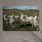 Flock Of Sheep Canvas Wall Art