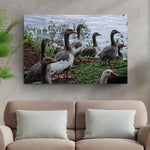 Flock Of Domestic Geese Canvas Wall Art