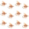 Barbless Tan Elk Hair Caddis Classic Trout Dry Flies 1 Dozen Flies Size 16