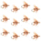 Barbless Tan Elk Hair Caddis Classic Trout Dry Flies 1 Dozen Flies Size 12
