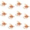 Barbless Tan Elk Hair Caddis Classic Trout Dry Flies 1 Dozen Flies Size 18