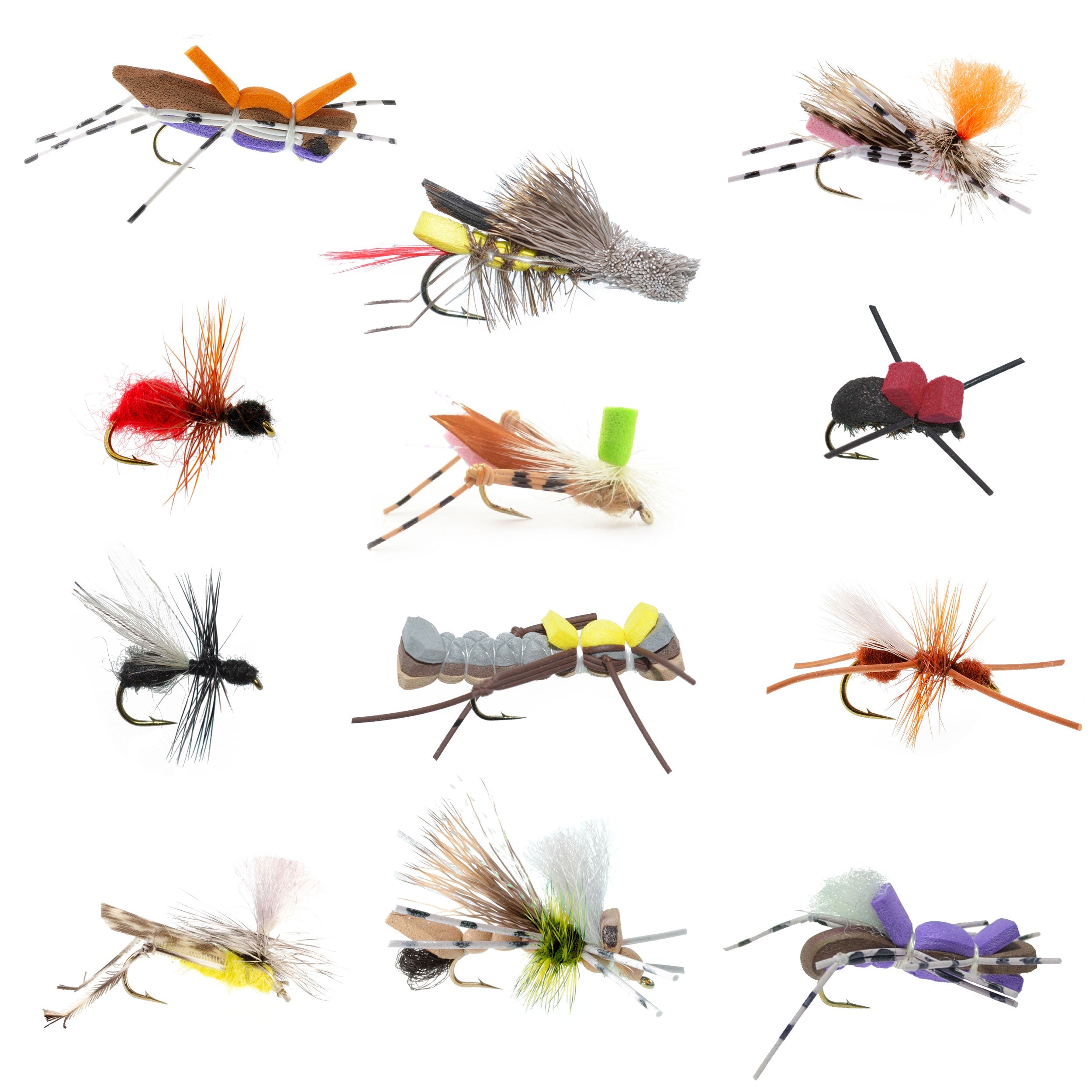 Trout Fly Assortment - Premium Terrestrial Flies - 12 Essential Hoppers, Ants and Beetles with Fly Box